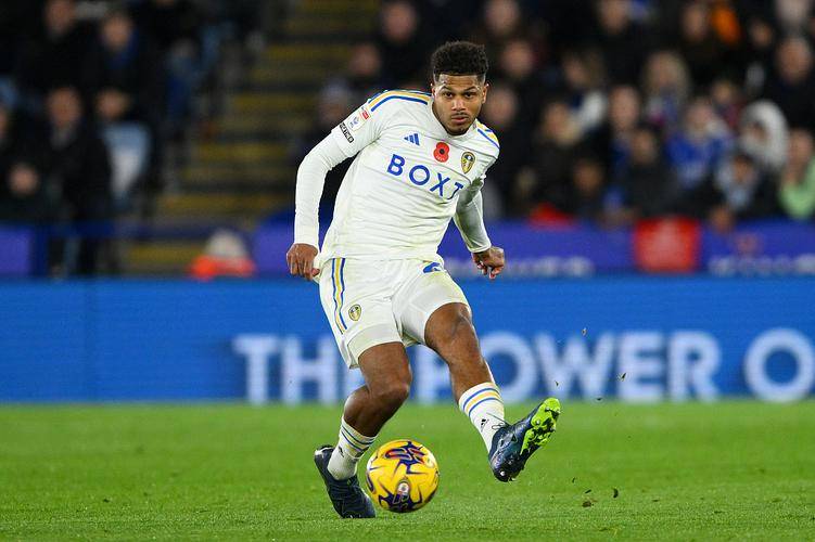 1xbet体育网址-利兹联主场击败普雷斯顿，继续领跑积分榜的简单介绍